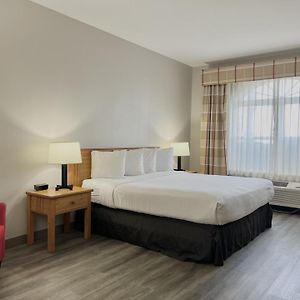 King Room Roll Shower Disability Access or Non-Smoking